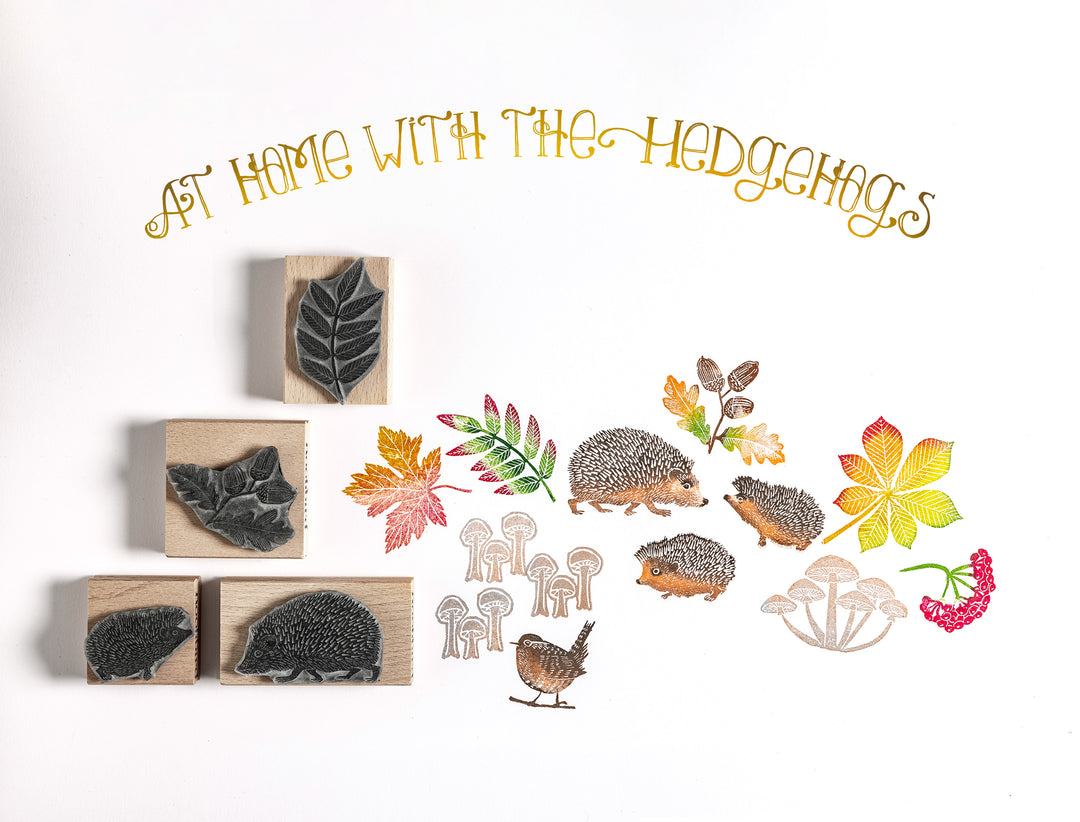 New Hedgehog Rubber Stamp Collection!