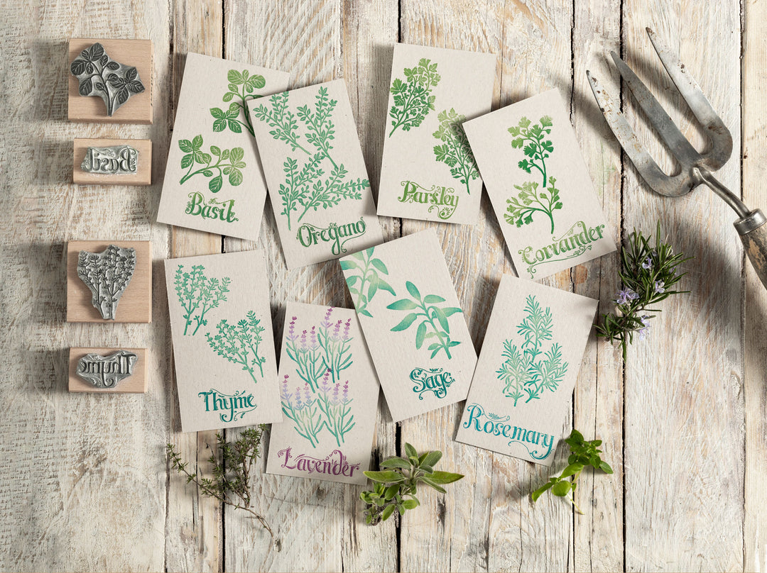 Garden Herbs Rubber Stamps - Noolibird