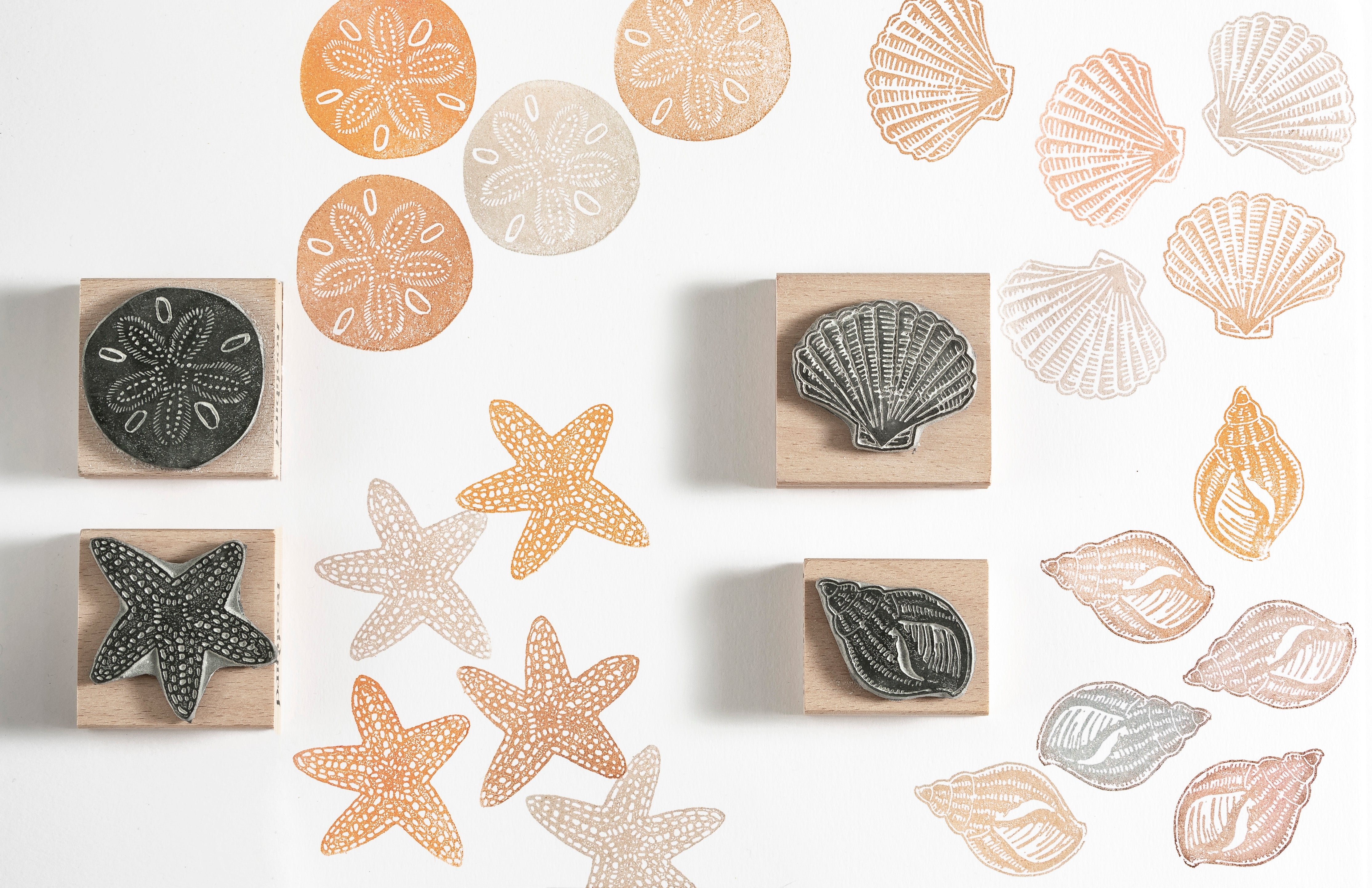 Shell, Starfish and Sand Dollar Rubber Stamps - Noolibird